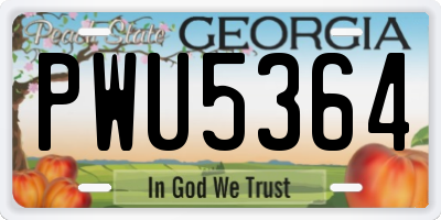 GA license plate PWU5364