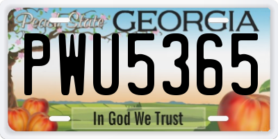 GA license plate PWU5365