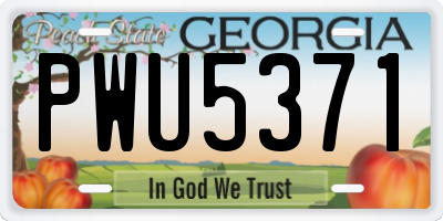 GA license plate PWU5371