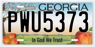 GA license plate PWU5373