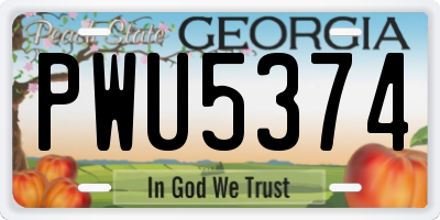 GA license plate PWU5374