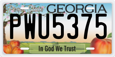 GA license plate PWU5375