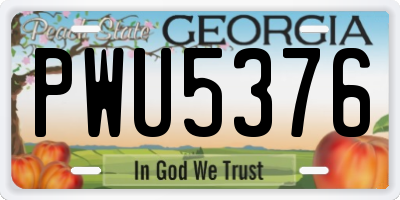 GA license plate PWU5376