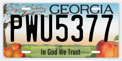 GA license plate PWU5377