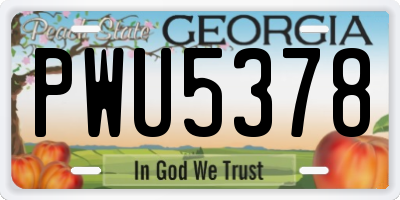 GA license plate PWU5378