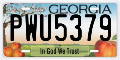 GA license plate PWU5379