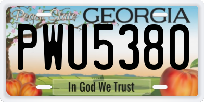 GA license plate PWU5380