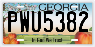 GA license plate PWU5382