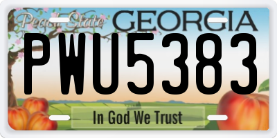 GA license plate PWU5383