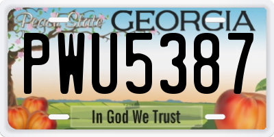 GA license plate PWU5387