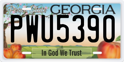GA license plate PWU5390