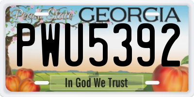 GA license plate PWU5392