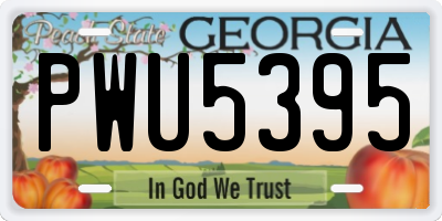 GA license plate PWU5395