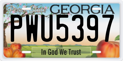 GA license plate PWU5397