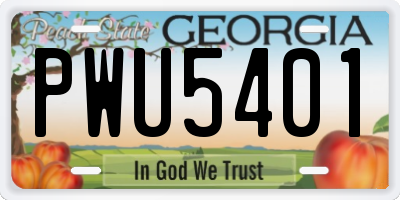 GA license plate PWU5401