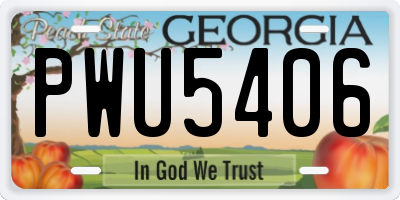 GA license plate PWU5406