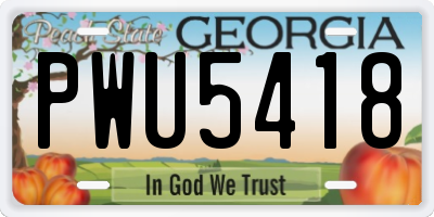 GA license plate PWU5418
