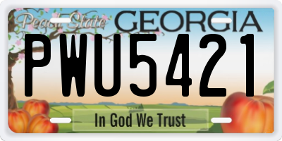 GA license plate PWU5421