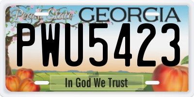 GA license plate PWU5423