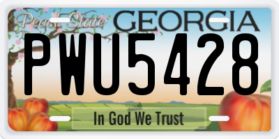 GA license plate PWU5428