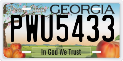GA license plate PWU5433