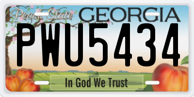 GA license plate PWU5434