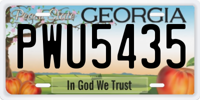 GA license plate PWU5435