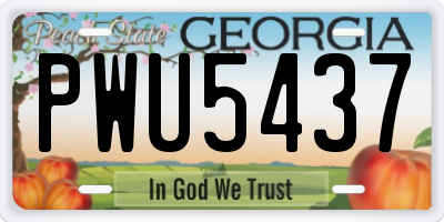 GA license plate PWU5437