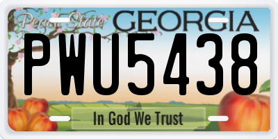 GA license plate PWU5438
