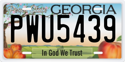 GA license plate PWU5439