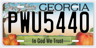 GA license plate PWU5440