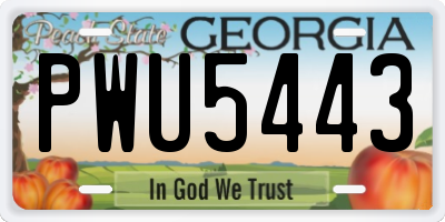 GA license plate PWU5443