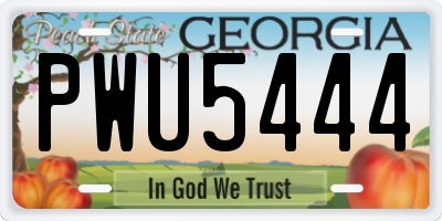 GA license plate PWU5444