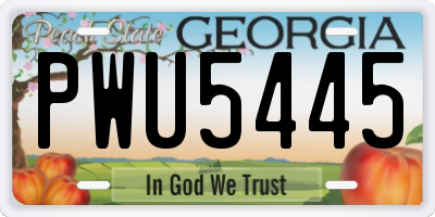 GA license plate PWU5445