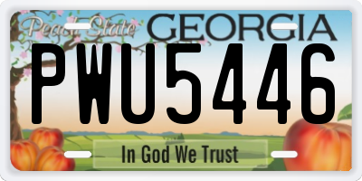 GA license plate PWU5446
