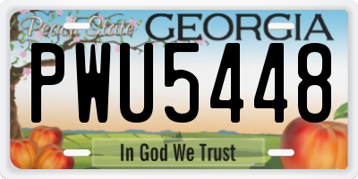 GA license plate PWU5448