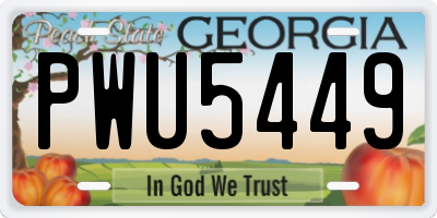 GA license plate PWU5449