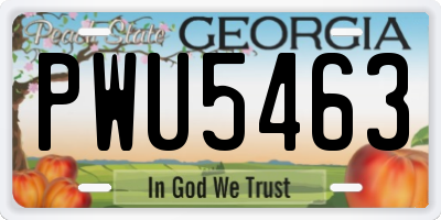 GA license plate PWU5463