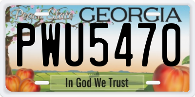 GA license plate PWU5470
