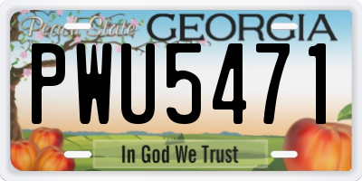 GA license plate PWU5471
