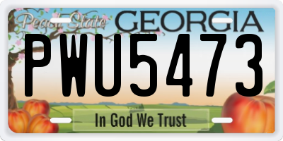 GA license plate PWU5473