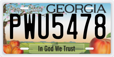 GA license plate PWU5478