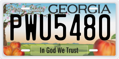 GA license plate PWU5480