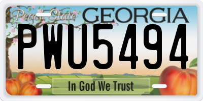 GA license plate PWU5494