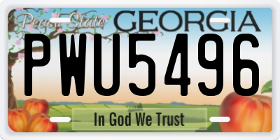 GA license plate PWU5496
