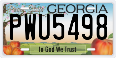 GA license plate PWU5498
