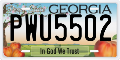 GA license plate PWU5502