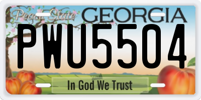 GA license plate PWU5504
