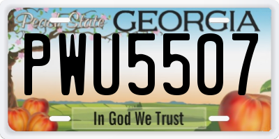 GA license plate PWU5507