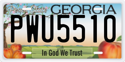 GA license plate PWU5510